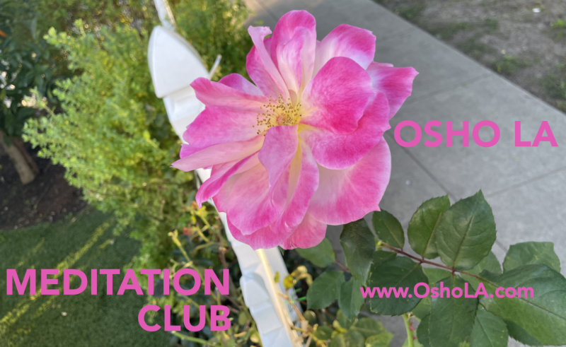 OSHO LA Club