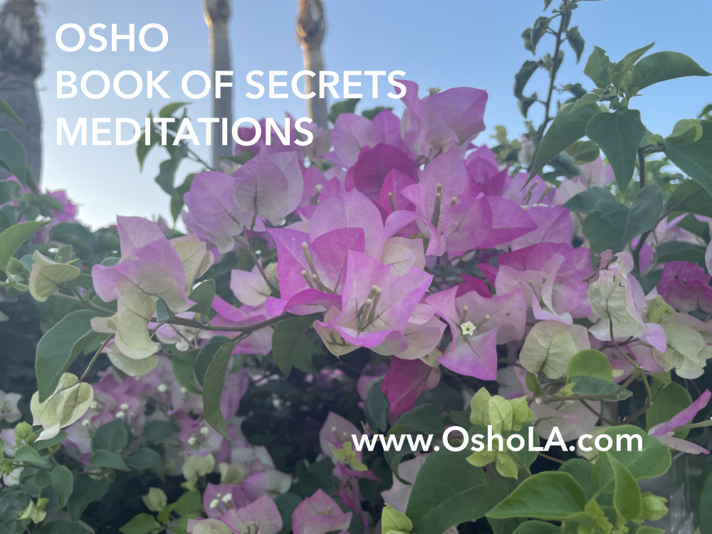 OSHO Book of Secrets Meditations