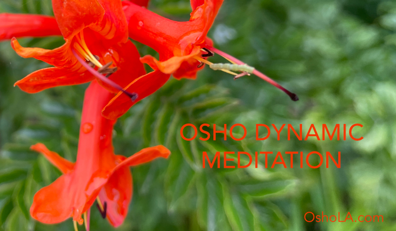 OSHO DYNAMIC MEDITATION